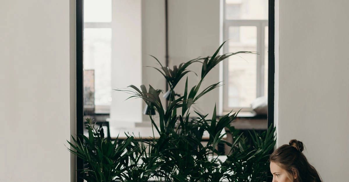 Немецкие игорные сайты онлайн и их цифровое развитие